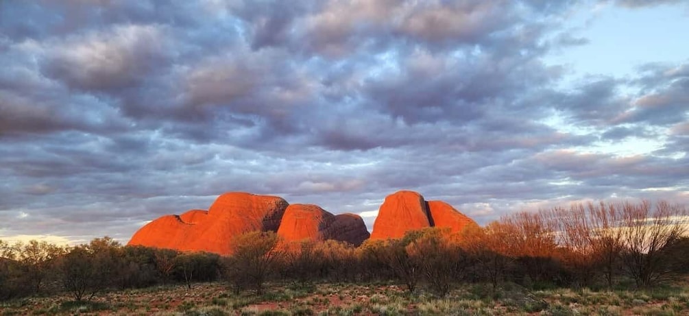 Picture 4 for Activity Uluru & Kata Tjuta: Hop on Hop Off Pass
