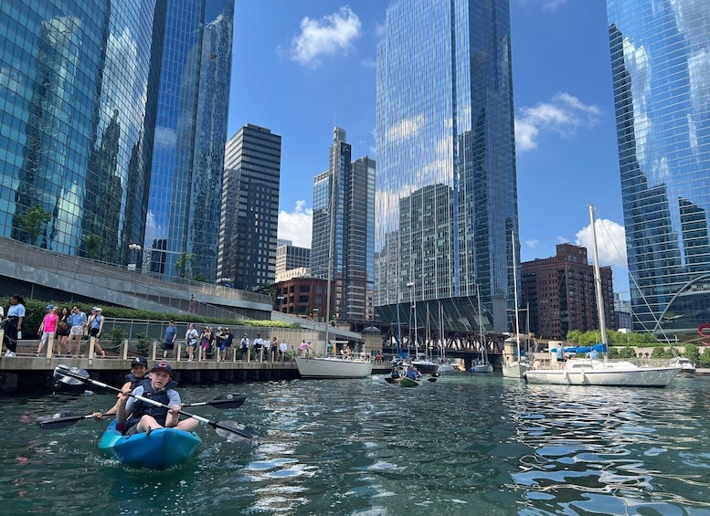 Chicago: Characters and Cons Guided Kayak Tour