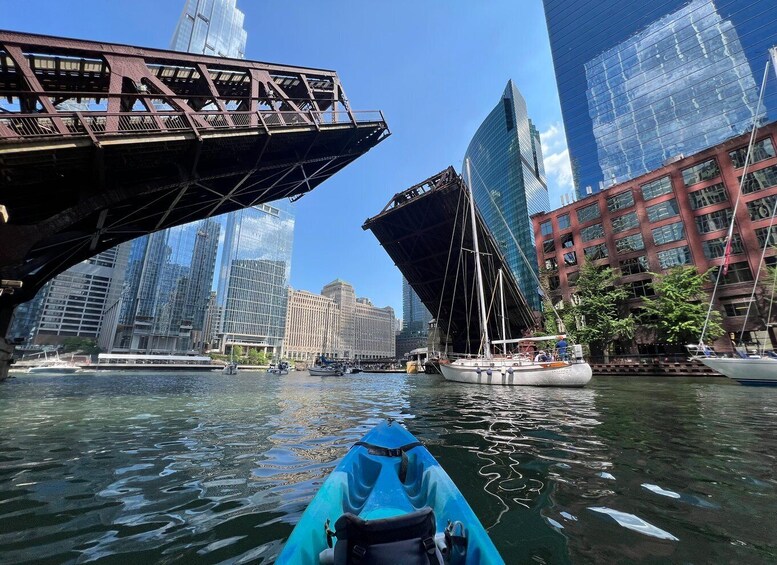 Picture 2 for Activity Chicago: Characters and Cons Guided Kayak Tour