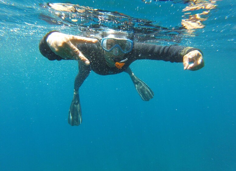 Picture 1 for Activity Villefranche-sur-Mer: guided snorkeling to discover the aquatic world