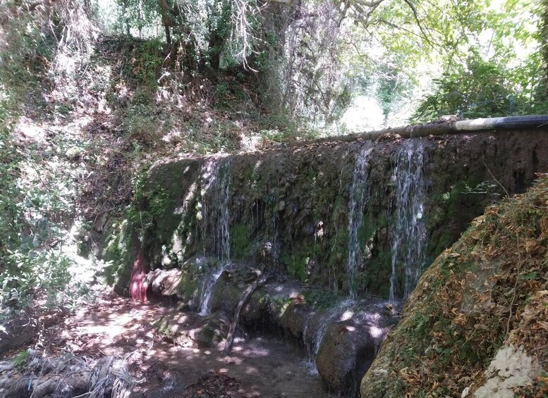 Picture 5 for Activity Lefkada: Path of Springs Hike with Olive Oil Tasting
