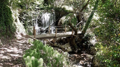 Lefkada: Path of Springs Hike with Olive Oil Tasting
