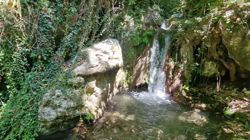 Picture 4 for Activity Lefkada: Path of Springs Hike with Olive Oil Tasting