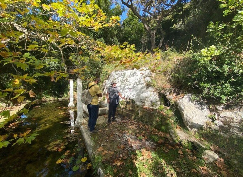 Picture 3 for Activity Lefkada: Path of Springs Hike with Olive Oil Tasting
