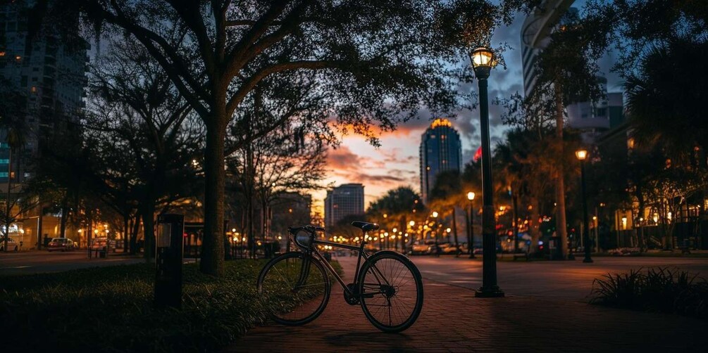 Picture 10 for Activity Orlando Night Bike Tour
