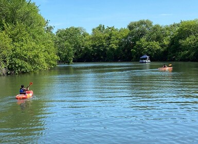 Chicago: 2-Hour Kayak Rental from Bridgeport