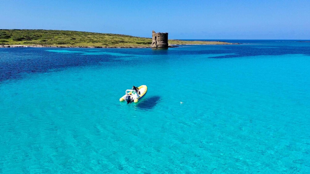 Picture 3 for Activity From Stintino: dinghy tour to Asinara with aperitif