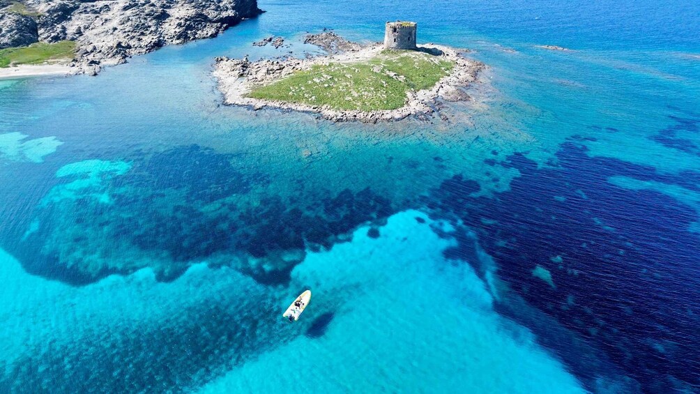 Picture 1 for Activity From Stintino: dinghy tour to Asinara with aperitif