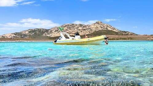 From Stintino: dinghy tour to Asinara with aperitif