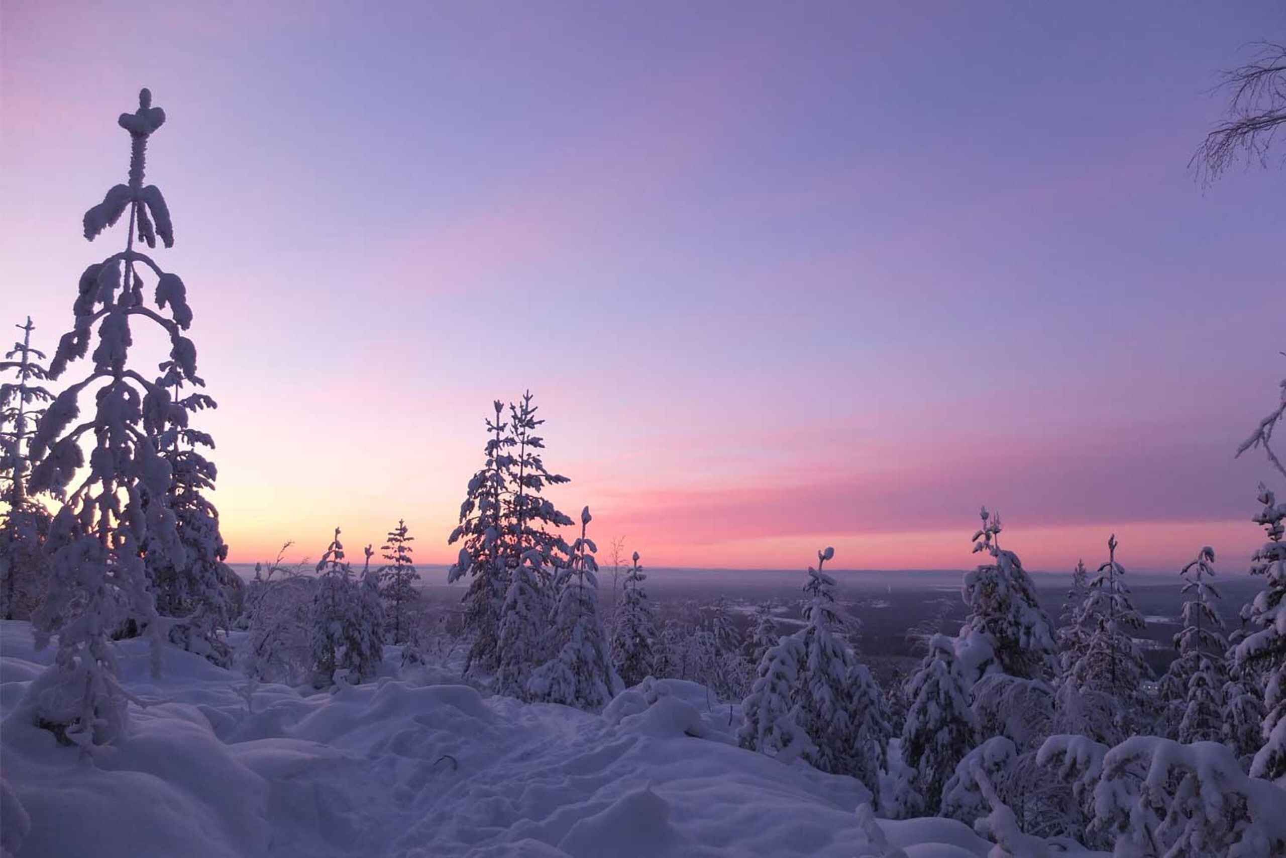 Luleå: snowshoeing in pristine nature with an expert guide!