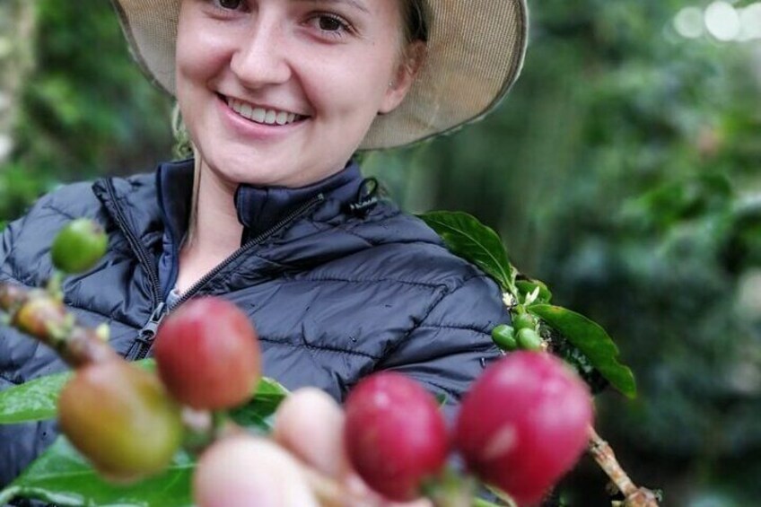 Cocora Valley and Coffee Farm Day Tour