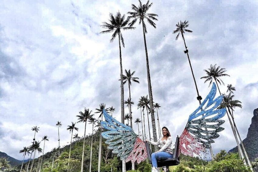 Cocora Valley and Coffee Farm Day Tour