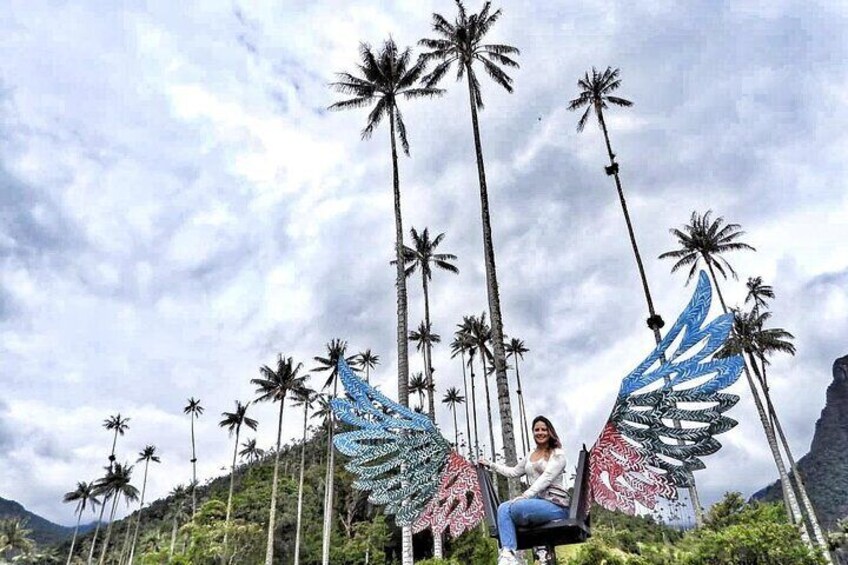 Cocora Valley and Coffee Farm Day Tour