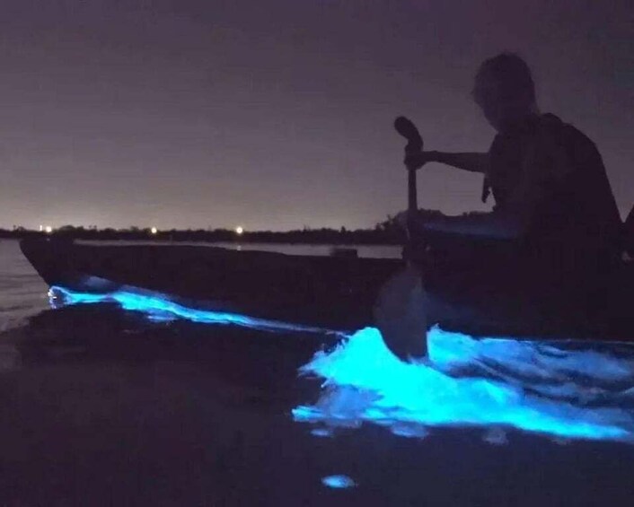 Eastsound: Orcas Island Bioluminescent Kayak Tour