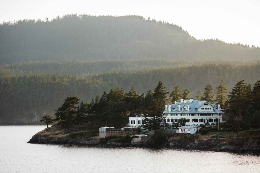 Picture 3 for Activity Eastsound: Orcas Island Bioluminescent Kayak Tour