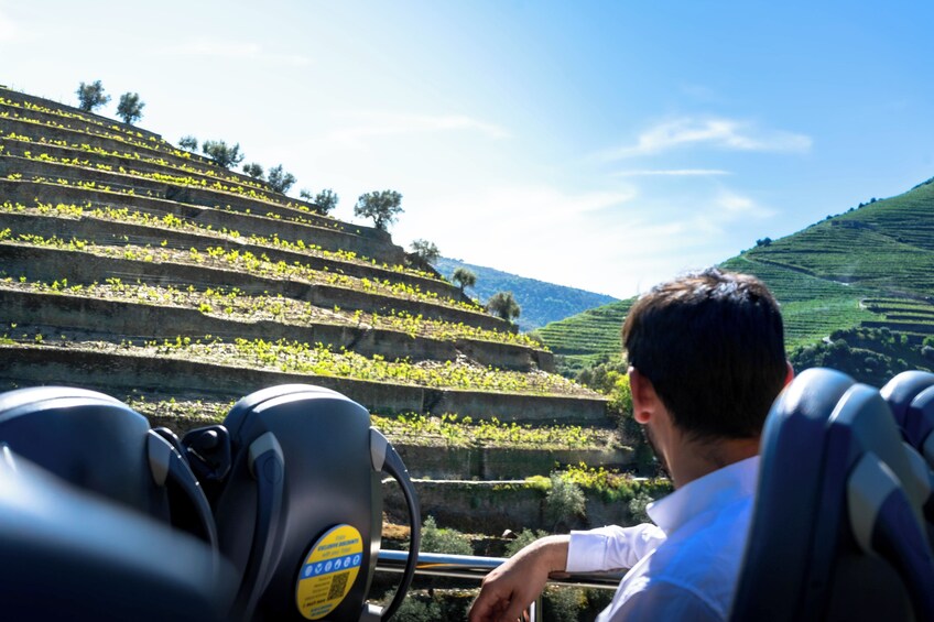 Douro Valley & Wine Tour