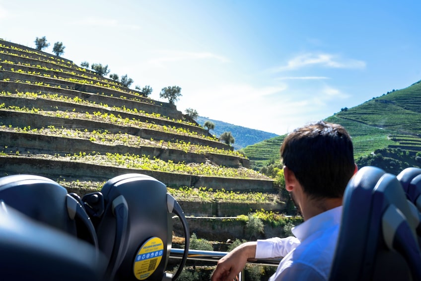 Douro Valley & Wine Tour