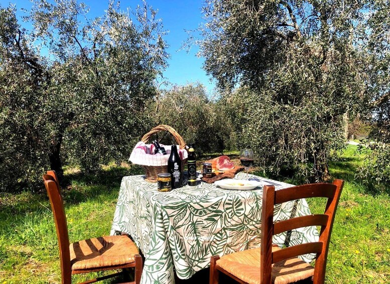 Picture 2 for Activity Maremma: outdoor lunch with local products