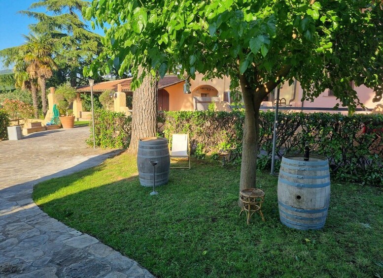 Picture 1 for Activity Maremma: outdoor lunch with local products