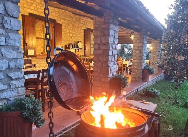 Picture 3 for Activity Maremma: oil and wine tasting with dinner