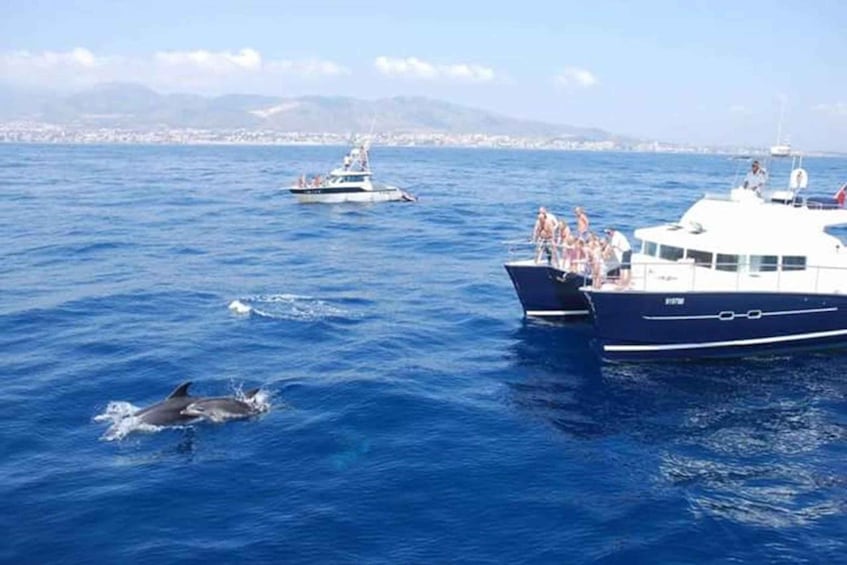 Picture 1 for Activity Benalmádena: Catamaran Cruise with Drinks and Swim Stop