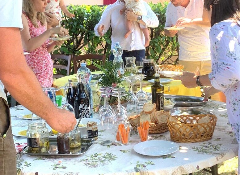 Picture 1 for Activity Maremma: Oil tasting with aperitif of typical products