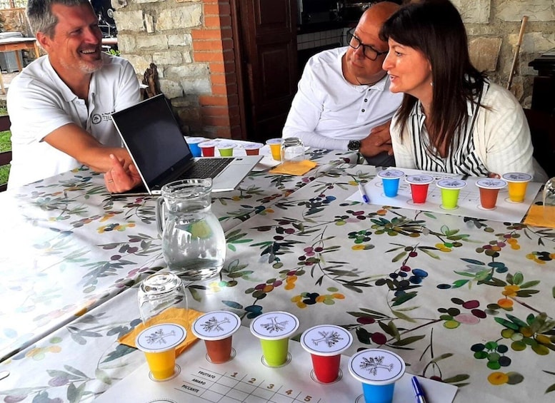 Maremma: Oil tasting with aperitif of typical products