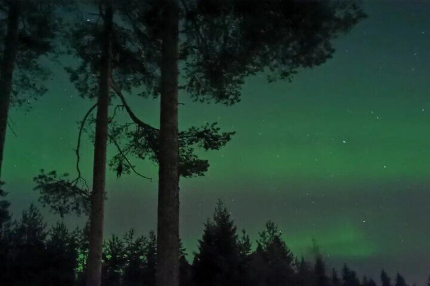 Northern Lights Aurora from Kemi with Pickup