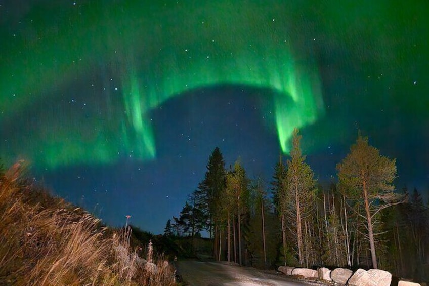 Northern Lights Aurora from Kemi with Pickup