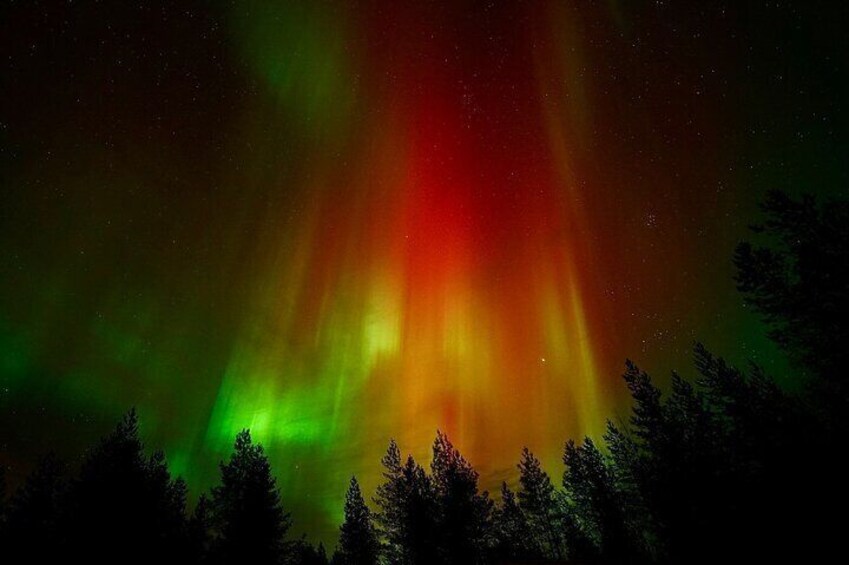 Northern Lights Aurora from Kemi with Pickup