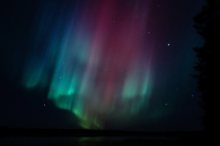 Northern Lights Aurora from Kemi with Pickup