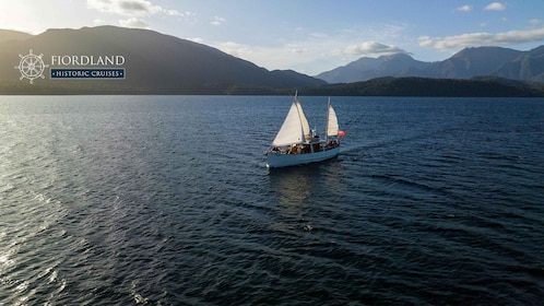 在历史悠久的 1935 年游艇上享用晚间香槟游轮。