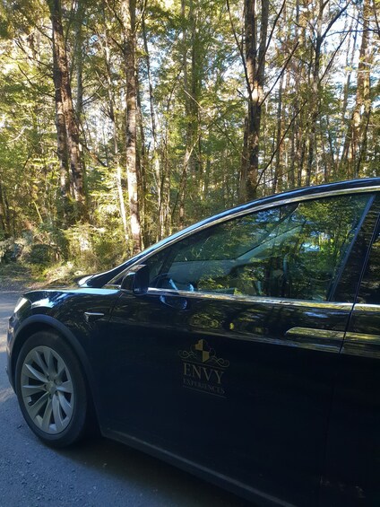 Picture 8 for Activity Guided Private Milford Sound Day Tour from Te Anau(Cruise In