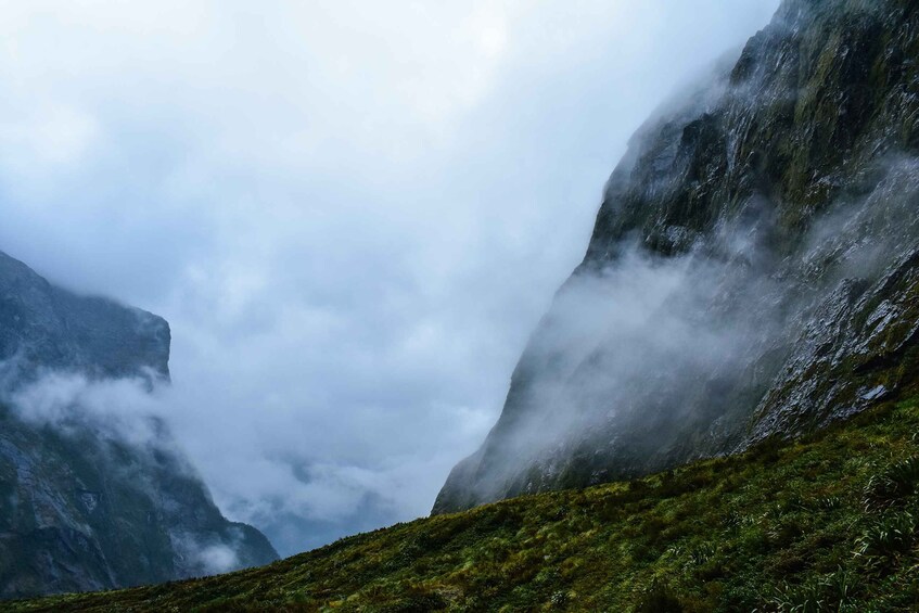 Picture 1 for Activity Guided Private Milford Sound Day Tour from Te Anau(Cruise In