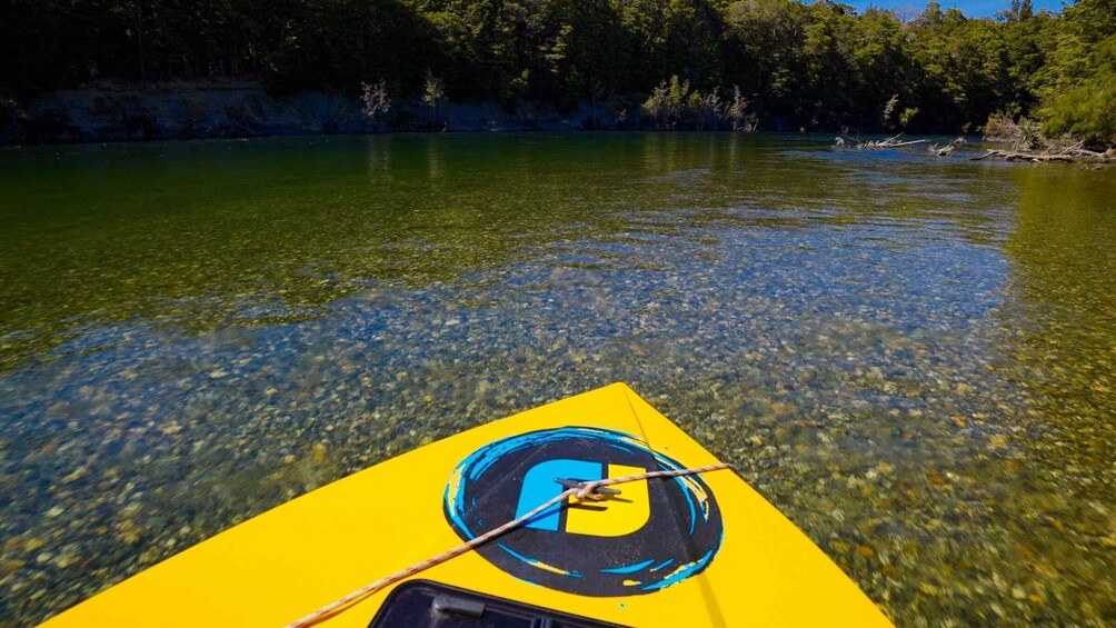 Picture 3 for Activity Te Anau: River Jet Boat and Bike Ride Tour with Local Guide