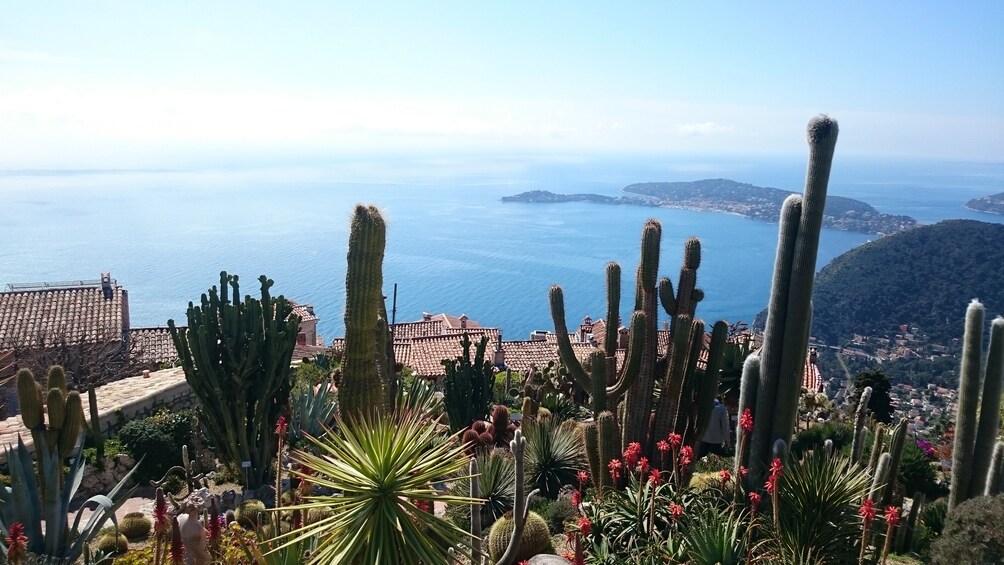 Full day : Eze, Monaco, Monte-Carlo