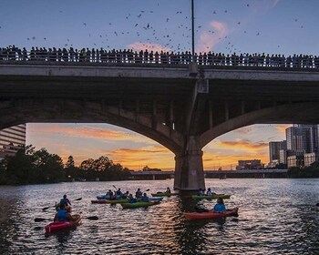 Austin: Paseo en kayak con murciélagos al atardecer por Congress Avenue