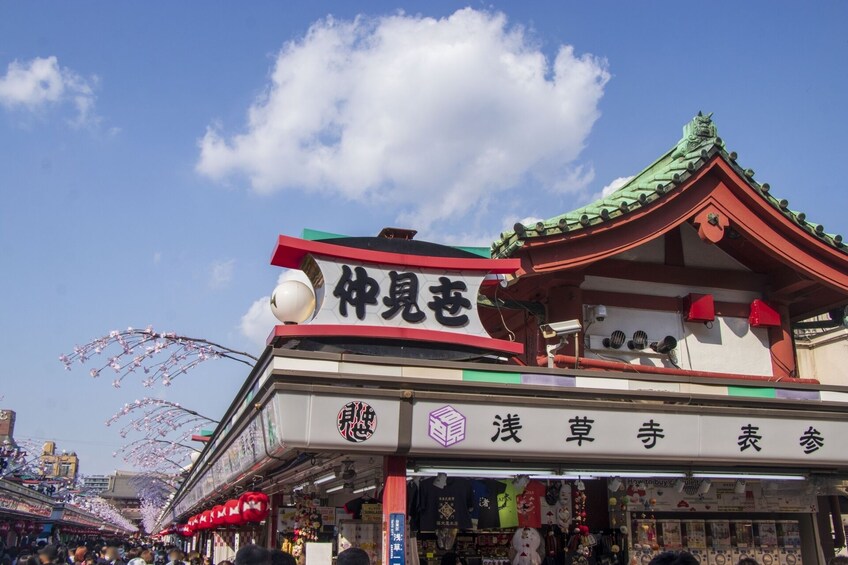 Best of Tokyo Iconic Landmarks 1-Day Sightseeing Tour
