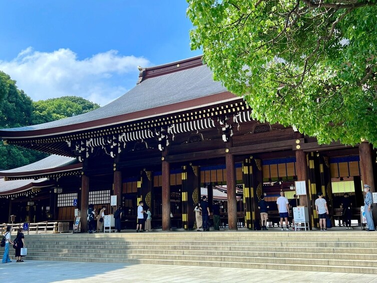 Best of Tokyo Iconic Landmarks 1-Day Sightseeing Tour