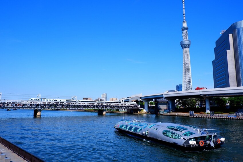 Best of Tokyo Iconic Landmarks 1-Day Sightseeing Tour