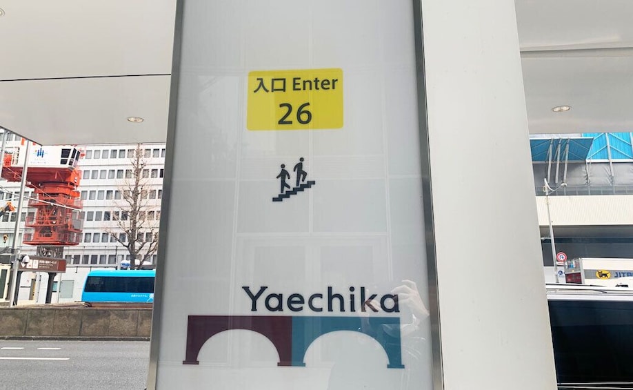 Best of Tokyo Iconic Landmarks 1-Day Sightseeing Tour