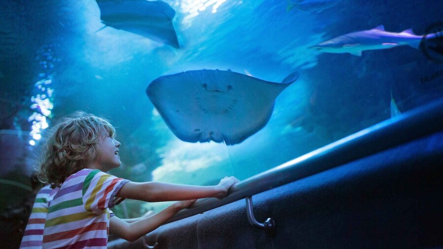 Antalya: Aquarium, Wax Museum, Snow World, Wild Park