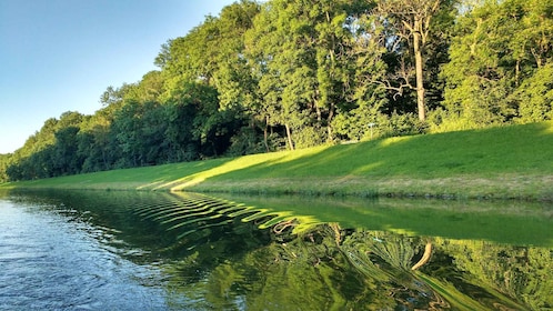 Leipzig: 2-hour Auwald Motorboat Tour