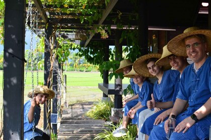 From Bangkok: Half Day Farm Tour w/ Thai Activities & Dinner