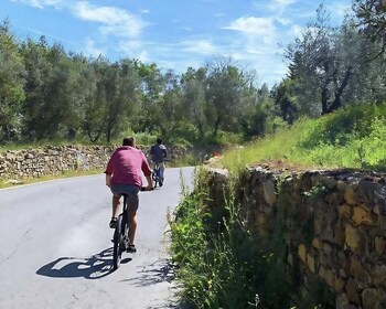 Florence by E-Bike: Hidden Hills & Local Thrills