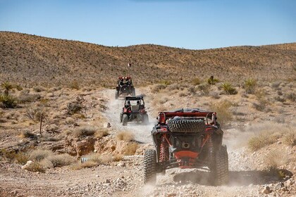 3 hour Guided Offroad Adventure to Wild Horses and Old Saloon