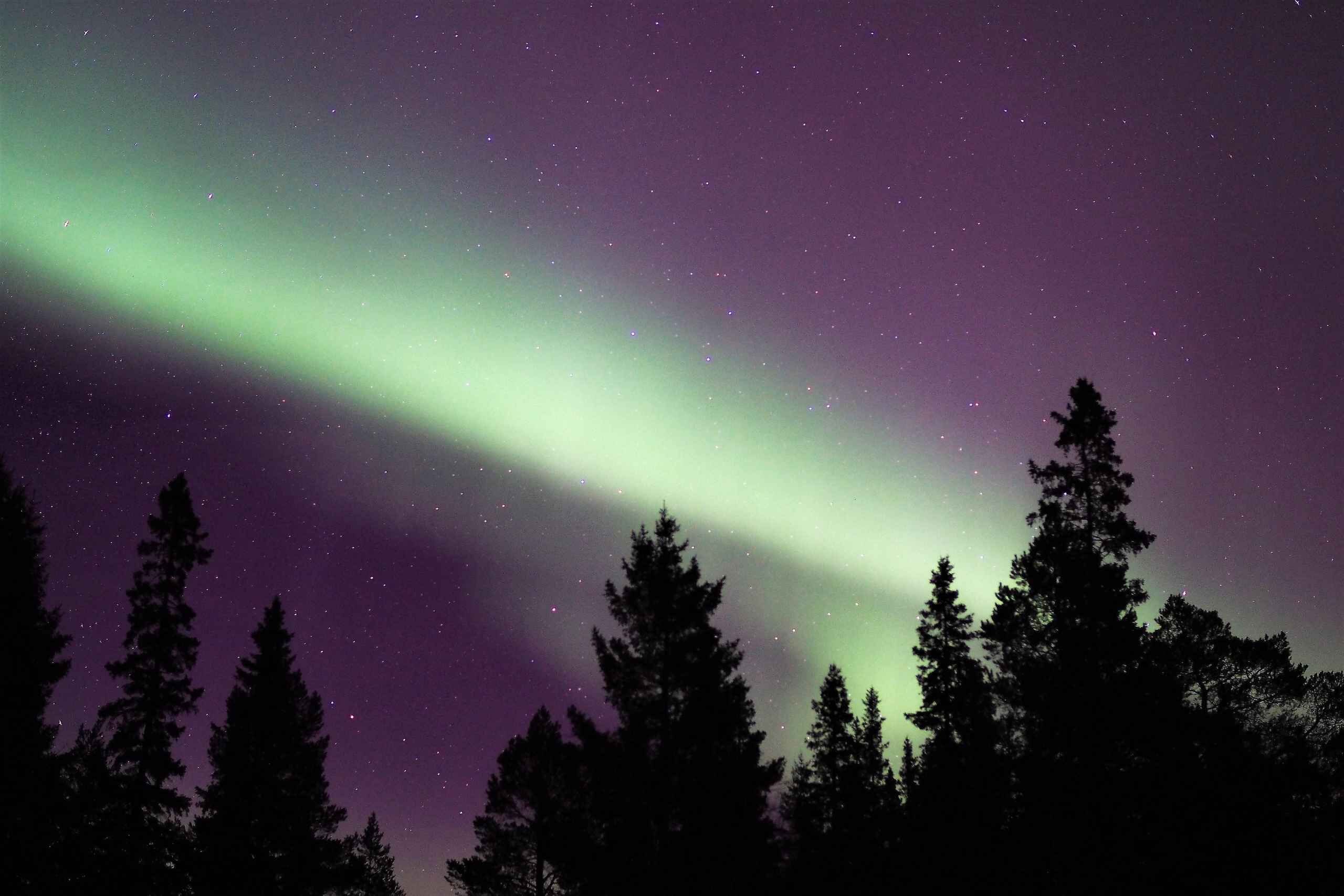 Luleå: Northern Lights Snowshoeing Tour