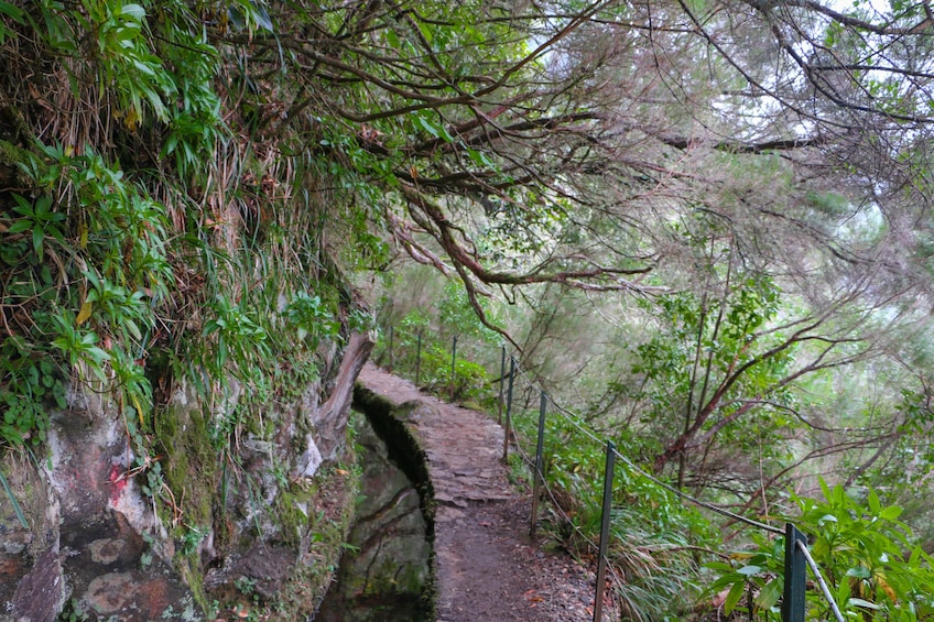 Guided Nature Hike (Full Day) - Queimadas / Caldeirão Verde