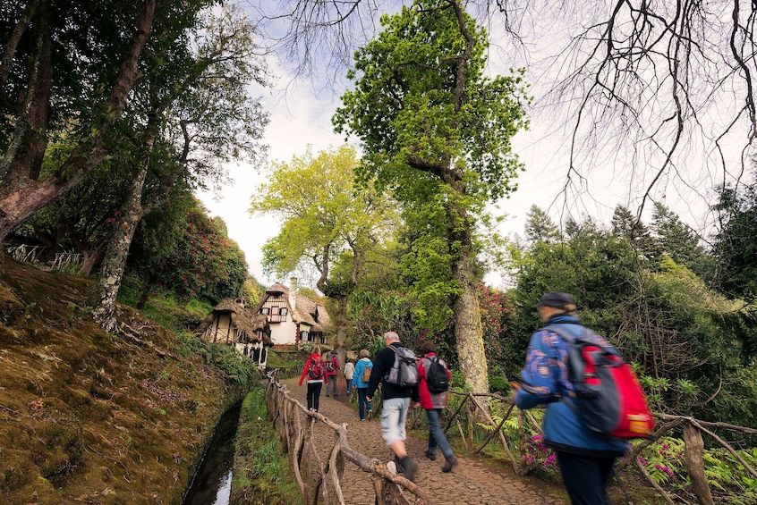 Guided Nature Hike (Full Day) - Queimadas / Caldeirão Verde