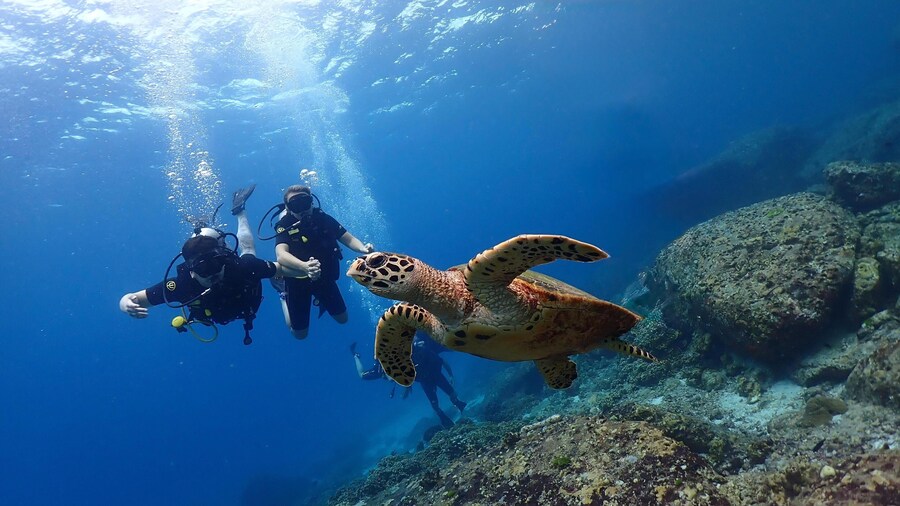 Full-Day Beginner Scuba Course with Private Tuition, Racha Yai